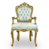 Vintage Elegant Luxury Armchair Interior Design